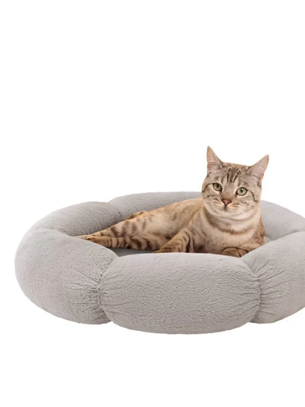 Friends Forever Size Small Flower Donut Dog/Cat Pet Bed. 23” in Diameter. NWT.
